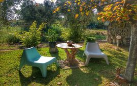 Efi's House, Toroni, Sithonia