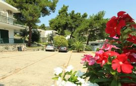 tosca beach bungalows palio kavala (17)