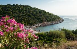 Irene Rooms, Skala Maries, Thassos