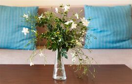 Maltinas House, Mola Kaliva, Kassandra