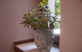 Acropolis Hotel, Limenas, Thassos