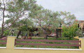 elenas house garden skala kallirachi thassos 2