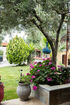 Elena's Sunset Garden House, Elia Beach, Sithonia