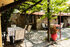 Elena's Sunset Garden House, Elia Beach, Sithonia