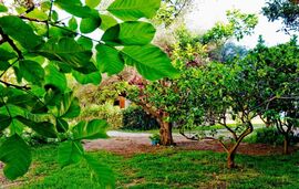 Daniel Beach Studios, Nikiana, Lefkada