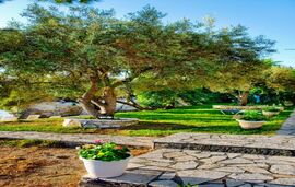 Daniel Beach Studios, Nikiana, Lefkada