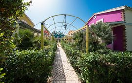 villagio maistro apartments agios ioannis lefkada  (3)