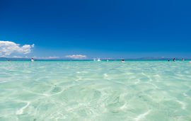 karidi beach sithonia