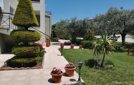 amfitriti apartments skala sotiros thassos  (14)