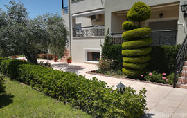 amfitriti apartments skala sotiros thassos  (17)