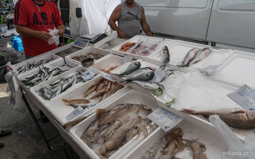 Pijačni dan u Nikitiju, Nikiti, Sithonia