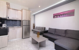 Rousko House, Sykia, Sithonia, 4 Bed Apartment, Gray