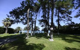 Tasos Resort, Hanioti, Kassandra