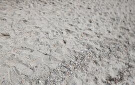 Tasos Resort, Hanioti, Kassandra