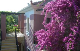 kika apartments sivota epirus 3