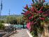 Vasiliki, Lefkada