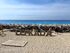 Kathisma plaža, Lefkada