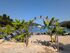 Karvouno beach - Sivota