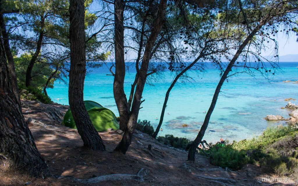 Mega Portokali plaža, Sarti, borova šuma