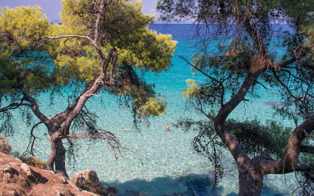 Mega Portokali plaža, Sarti, borova hladovina