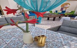 Aegli Studios, Skala Potamia, Thassos