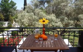 anthias garden apartments lefkas lefkada 5