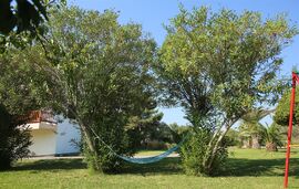 Daldogianni Despina   Evangelia Apartments, Ormos Panagias, Sithonia