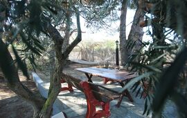 Daldogianni Despina   Evangelia Apartments, Ormos Panagias, Sithonia