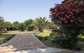 Daldogianni Despina   Evangelia Apartments, Ormos Panagias, Sithonia