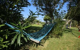 Daldogianni Despina   Evangelia Apartments, Ormos Panagias, Sithonia