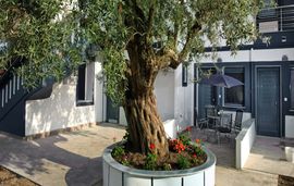 akti s resort akti salonikiou sithonia family garden apartment 1