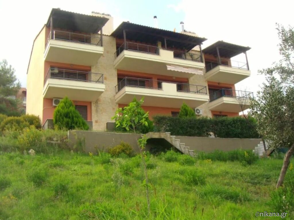Kripis Studio Paliouri, Paliouri, Kassandra