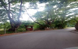 Tranta's Rooms, Skotina Pierias, Pieria