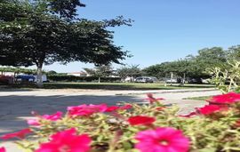 Tranta's Rooms, Skotina Pierias, Pieria