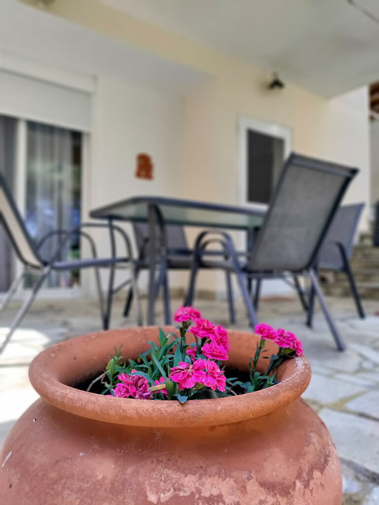 Stagera Apartment, Polichrono, Kassandra