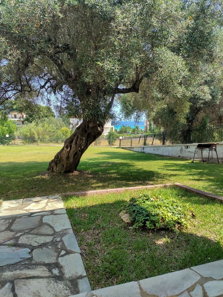 Stagera Apartment, Polichrono, Kassandra