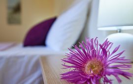 caretta village toroni sithonia apartment 8