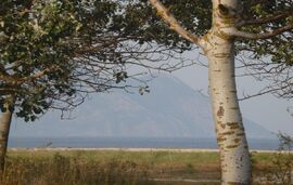 Androniki's house, Sykia, Sithonia