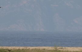 Androniki's house, Sykia, Sithonia