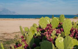 Areti Studios, Sykia, Sithonia