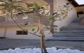 kasimidis apartments siviri kassandra 3