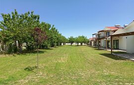 Elli's Onar Studios, Sykia, Sithonia