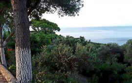 Tsoumas Rooms, Kastrosikia, Epirus