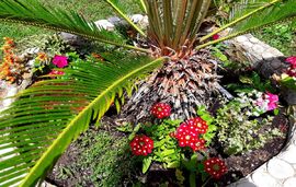 Tsoumas Rooms, Kastrosikia, Epirus