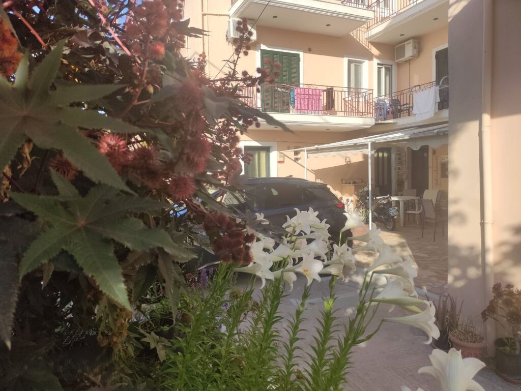 Kohili Studios, Lefkas, Lefkada