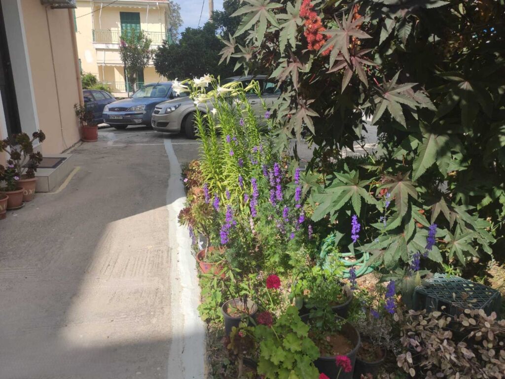 Kohili Studios, Lefkas, Lefkada