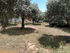 athina villa potos thassos parking  (4) 