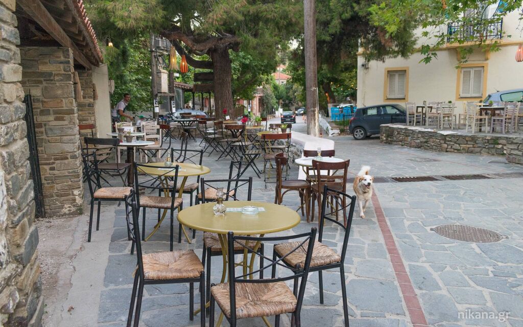 Stari Nikiti, Nikiti, Sithonia kafići