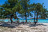 lagonisi beach sithonia 