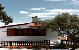 our house aegean and olive palio kavala aegean house  (3)